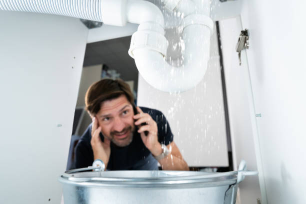 Best Local Plumber Services  in Peru, IL